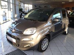 Colore esterno (colosseo grau) Gebraucht 2020 Fiat Panda Easy Kleinwagen | 9.950 € (Fairer Preis)