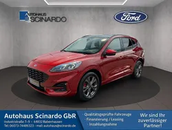 Rot Gebraucht 2024 Ford Kuga ST-Line X SUV | 27.880 € (Fairer Preis)