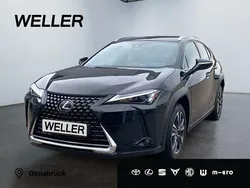 Schwarz Gebraucht 2023 Lexus UX 250h SUV | 30.575 € (Fairer Preis)
