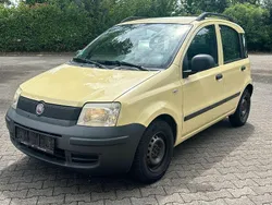 Gelb Gebraucht 2009 Fiat Panda Active Kleinwagen | 1.999 € (Fairer Preis)