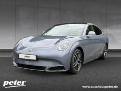 Grau Neu 2025 Ora 07 Limousine | 39.900 € (Fairer Preis)