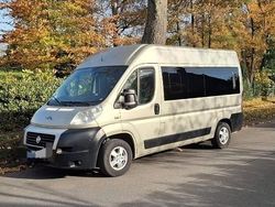 Gold Gebraucht 2013 Fiat Ducato Van | 11.450 € (Guter Preis)