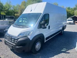 Weiß Gebraucht 2023 Opel Movano Edition Van | 21.990 € (Superpreis)