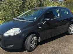 Schwarz Gebraucht 2009 Fiat Punto Kleinwagen | 2.990 € (Teuer)