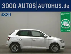 Grau Gebraucht 2020 Skoda Fabia Style Kombi | 14.995 € (Fairer Preis)