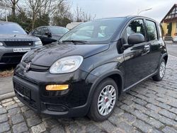 Andere Gebraucht 2024 Fiat Panda Kleinwagen | 13.880 €