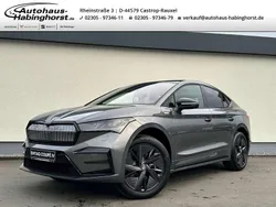 Grau Gebraucht 2025 Skoda Enyaq iV RS SUV | 51.980 € (Guter Preis)