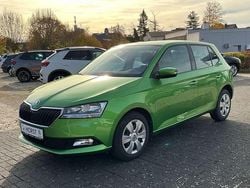 Grün Gebraucht 2020 Skoda Fabia Active Kleinwagen | 11.450 € (Guter Preis)
