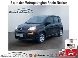 Cinema schwarz Neu 2024 Fiat Panda Cross Cross Kleinwagen | 15.789 €