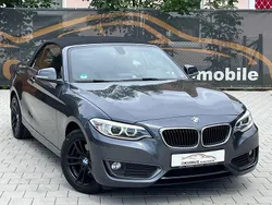 Grau Gebraucht 2016 BMW 220 Advantage Cabrio | 15.890 € (Guter Preis)