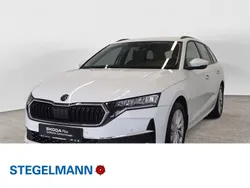 Gebraucht 2024 Skoda Octavia Selection Kombi | 29.190 € (Fairer Preis)