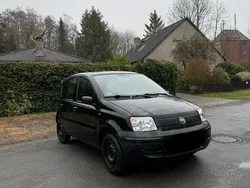 Schwarz Gebraucht 2009 Fiat Panda Kleinwagen | 1.699 € (Fairer Preis)