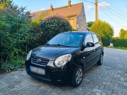 Schwarz Gebraucht 2010 Kia Picanto Kleinwagen | 2.800 € (Etwas zu teuer)