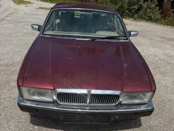 Rot Gebraucht 1992 Jaguar XJ40 Limousine | 1.499 €