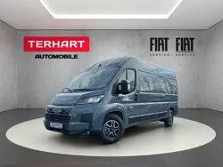 Weiss (pastell)) (weiss Neu 2024 Fiat Ducato Van | 44.015 € (Etwas zu teuer)