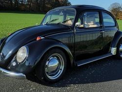 Blau Gebraucht 1983 VW Käfer Limousine | 11.900 €