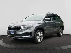 Grau Neu 2025 Skoda Karoq Tour SUV | 34.890 € (Etwas zu teuer)