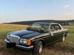 Grün Gebraucht 1983 Mercedes 230 Coupé | 16.500 €