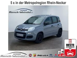 Grau Gebraucht 2019 Fiat Panda Easy Kleinwagen | 10.989 € (Etwas zu teuer)