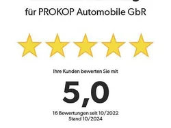 Grau Gebraucht 2019 Ford Tourneo Custom Titanium Van / Kleinbus | 27.949 € (Teuer)