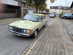 Grün Gebraucht 1979 Mercedes 240 Limousine | 4.370 €