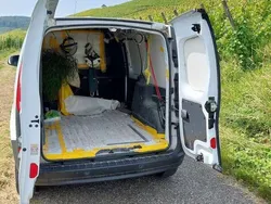 Weiß Gebraucht 2019 Renault Kangoo Van / Kleinbus | 6.499 € (Superpreis)