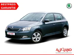 Grau Gebraucht 2018 Skoda Fabia Ambition Kleinwagen | 14.950 €