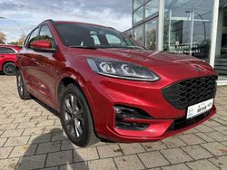 Rot Gebraucht 2023 Ford Kuga ST-Line SUV | 25.950 € (Guter Preis)