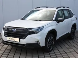 Weiß Neu 2025 Subaru Forester Trend SUV | 38.333 € (Superpreis)
