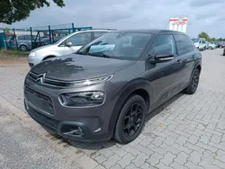 Grau Gebraucht 2019 Citroën C4 Cactus Kleinwagen | 7.990 € (Fairer Preis)