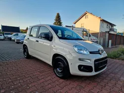 Beige Gebraucht 2017 Fiat Panda Easy Kleinwagen | 4.999 € (Guter Preis)