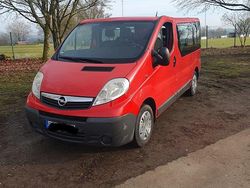 Rot Gebraucht 2008 Opel Vivaro Van / Kleinbus | 5.555 €
