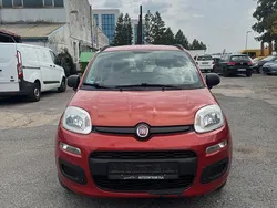 Rot Gebraucht 2014 Fiat Panda Kleinwagen | 4.250 € (Fairer Preis)