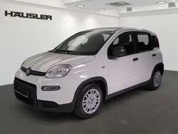 Gelato weiß Gebraucht 2024 Fiat Panda Kleinwagen | 14.890 € (Etwas zu teuer)