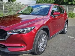 Gebraucht 2019 Mazda CX-5 SUV | 24.000 € (Etwas zu teuer)
