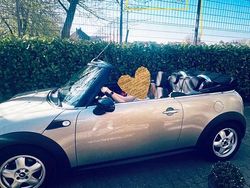 Gold Gebraucht 2010 Mini Cooper Cabriolet Cabrio | 7.500 € (Fairer Preis)