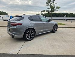 Grau Gebraucht 2021 Alfa Romeo Stelvio Ti SUV | 31.500 € (Etwas zu teuer)