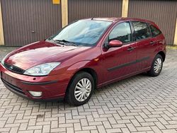 Rot Gebraucht 2003 Ford Focus Limousine | 2.400 € (Etwas zu teuer)