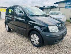 Schwarz Gebraucht 2010 Fiat Panda Kleinwagen | 2.999 €
