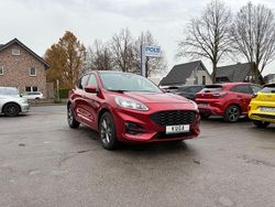 Rot Gebraucht 2023 Ford Kuga ST-Line X SUV | 25.690 € (Fairer Preis)