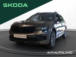 Graphite grau Neu 2025 Skoda Kamiq Tour SUV | 31.690 € (Etwas zu teuer)