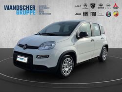 Weißschwarz Neu 2025 Fiat Panda Kleinwagen | 14.590 € (Fairer Preis)