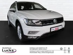 Pure white Gebraucht 2016 VW Tiguan SUV | 19.789 € (Guter Preis)