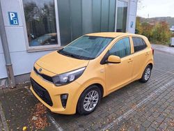 Honey bee yellow Gebraucht 2021 Kia Picanto Kleinwagen | 12.480 € (Fairer Preis)