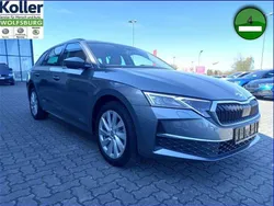 Grau Gebraucht 2024 Skoda Octavia Kombi | 29.570 € (Guter Preis)