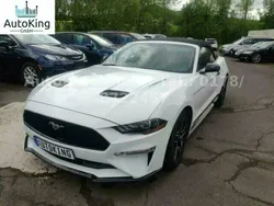 Weiß Gebraucht 2019 Ford Mustang Cabrio | 28.300 € (Guter Preis)