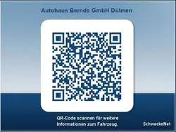 Grau Gebraucht 2021 Renault Zoe Experience Kleinwagen | 12.197 € (Fairer Preis)