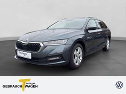 Grau Gebraucht 2021 Skoda Octavia Ambition Kombi | 17.250 € (Guter Preis)