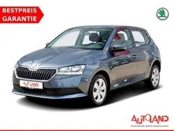 Grau Gebraucht 2019 Skoda Fabia Cool Plus Kleinwagen | 12.950 € (Etwas zu teuer)