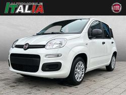 Weiß (gelato weiß) Neu 2025 Fiat Panda Pop Limousine | 20.575 €
